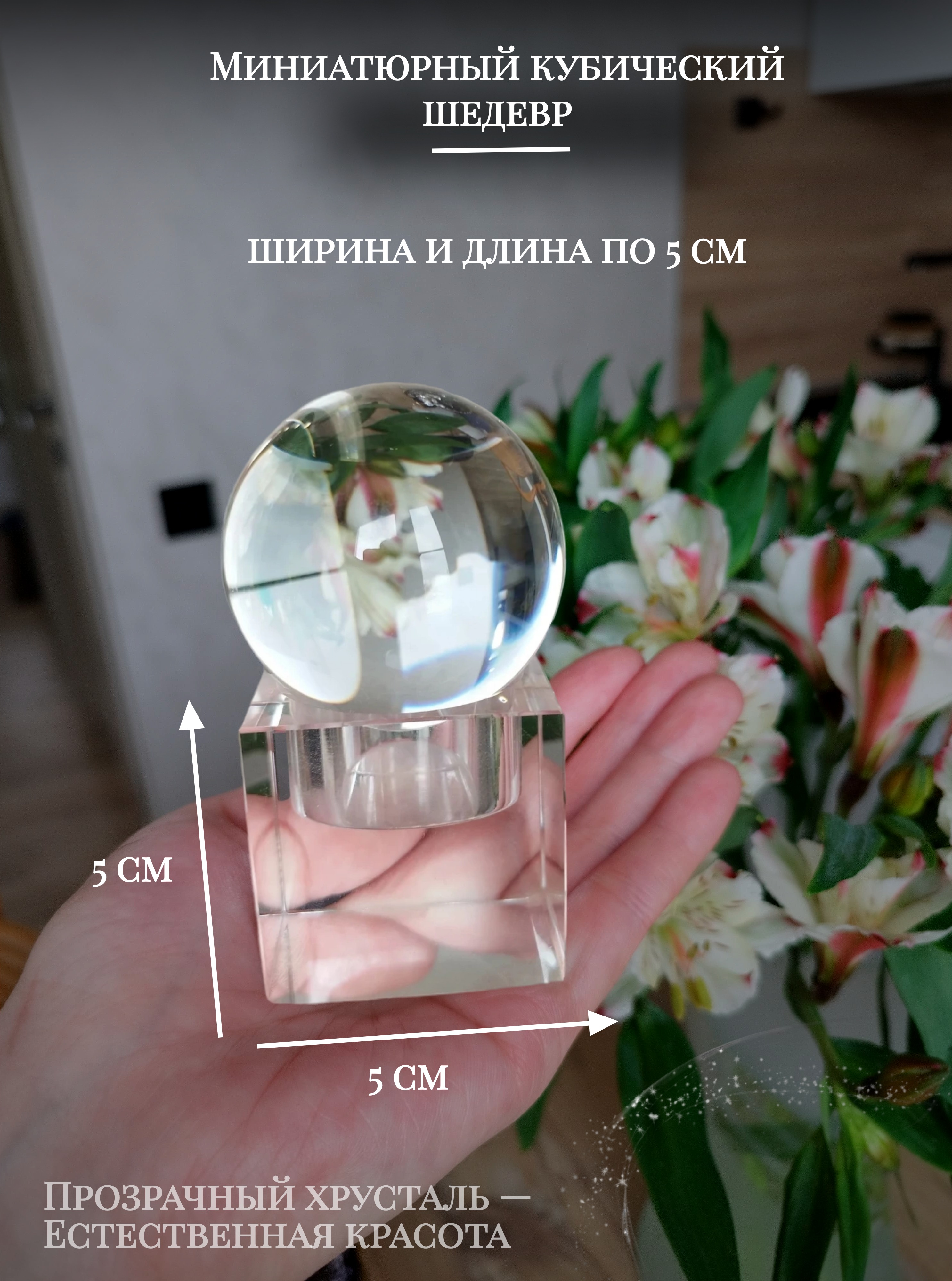 ��������� ����������� 5�� ��� ��� ���