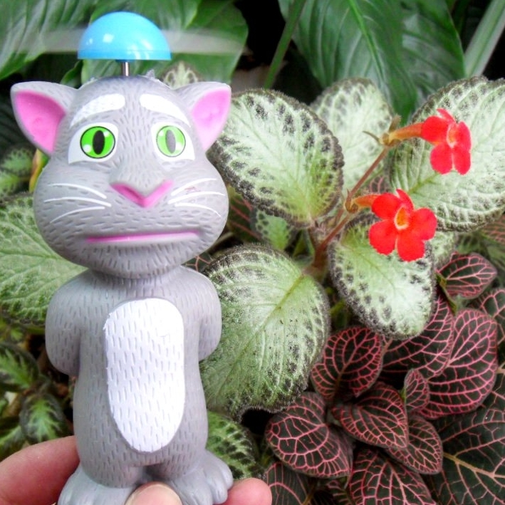 ���� ���������� ������� ��� ������� ����� � ������ ��������