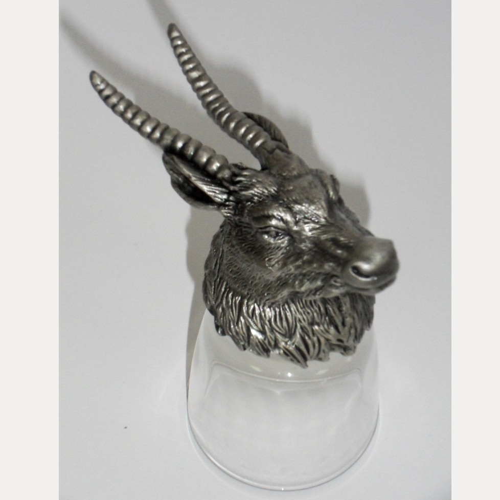 ������ ����� ���� 2015 ������ ���� - ���� ������ � ���������� �������